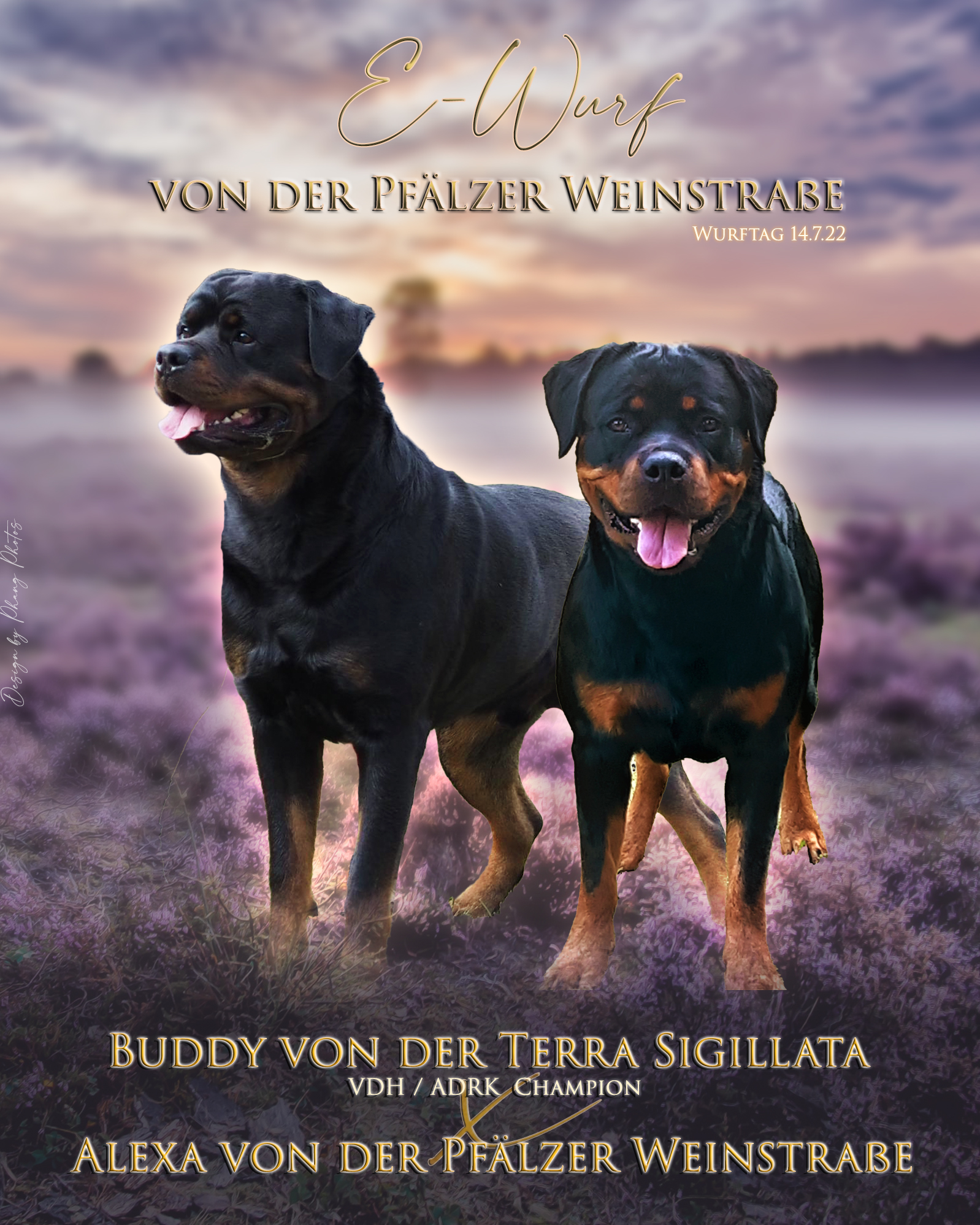 Buddy von der Terra Sigillata und Alexa von der Pfälzer Weinstrasse