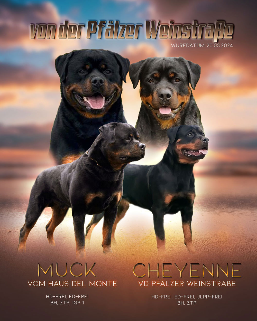 Muck und Cheyenne